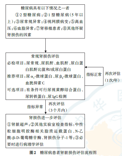 最新《糖尿病肾脏病早期预测与诊断专家共识》发布